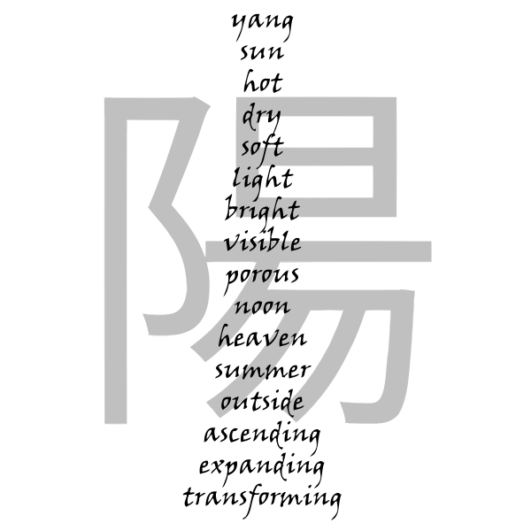 SVG Yang properties vector drawing