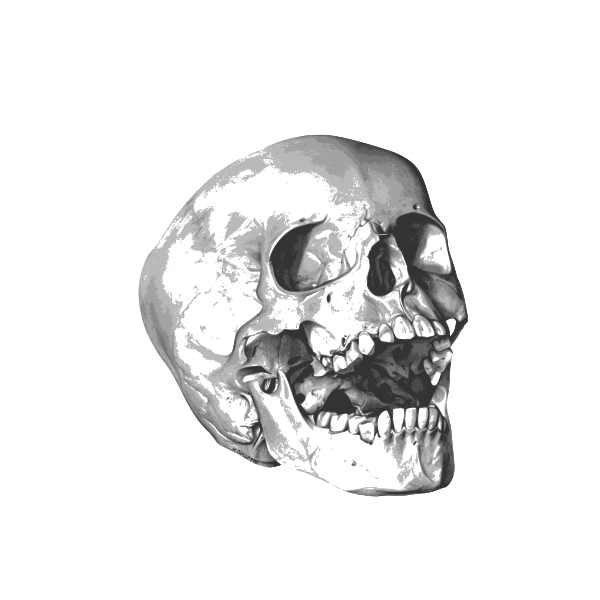 SVG Yawning skull image