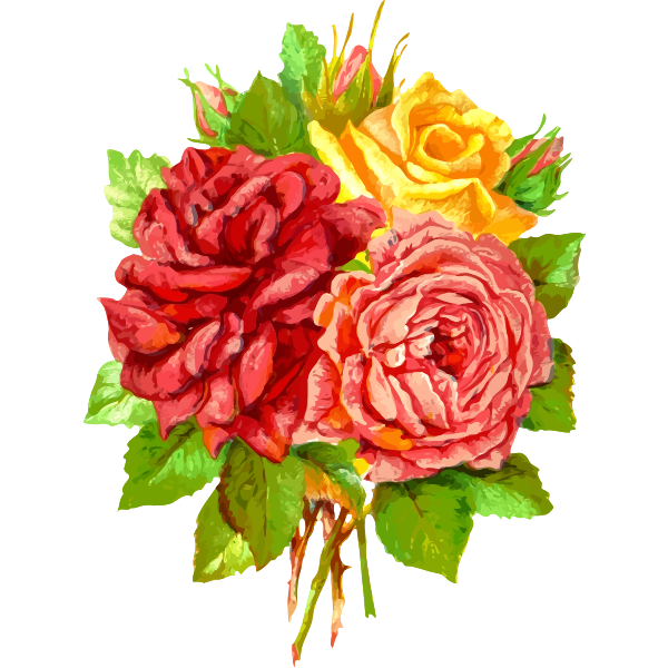 SVG Yellow and red roses