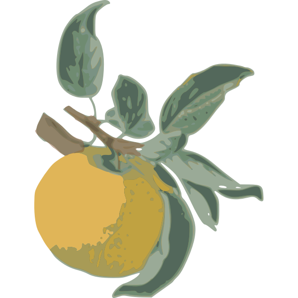 SVG Yellow Apple-1574850711