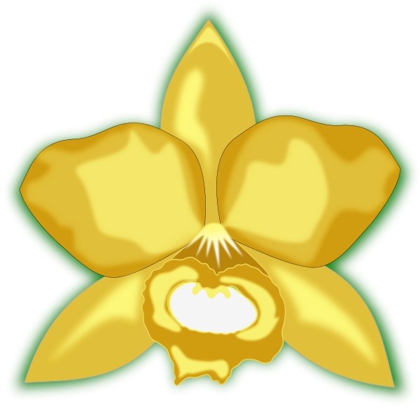 SVG Yellow cattleya