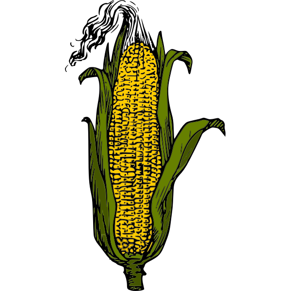 SVG Yellow corn cob