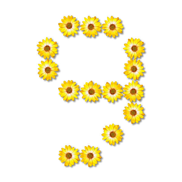 SVG Yellow flowery number nine