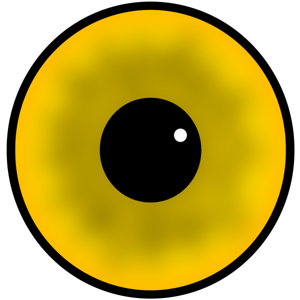 SVG Yellow human eye iris and pupil vector image