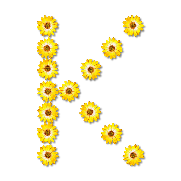 SVG Yellow letter K
