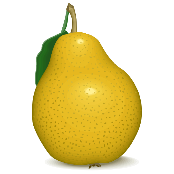 SVG Yellow pear vector image