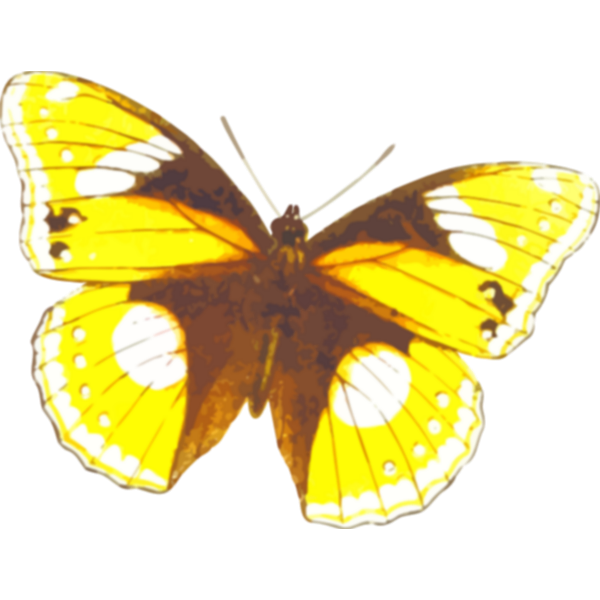 SVG Yellowish butterfly