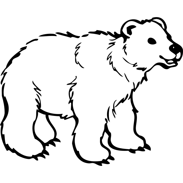 SVG Young bear vector image