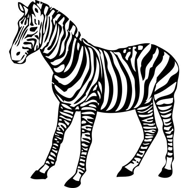 SVG zebra