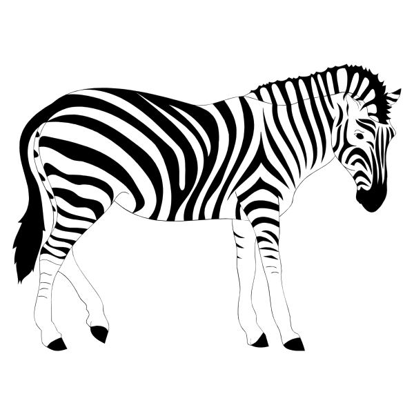 SVG Zebra Animal