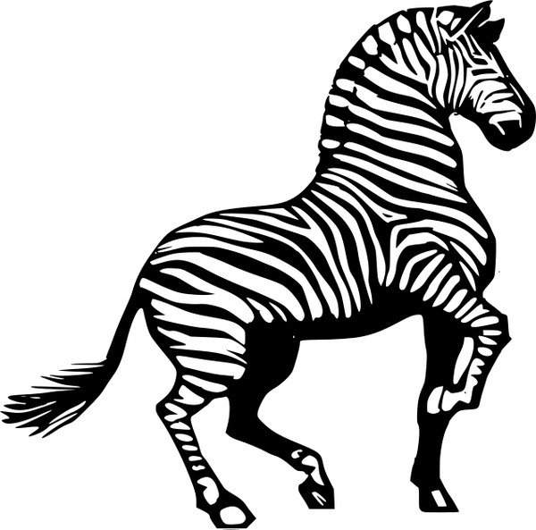 SVG Zebra horse clip art graphics