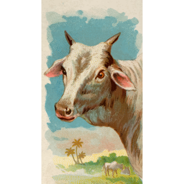 SVG Zebu