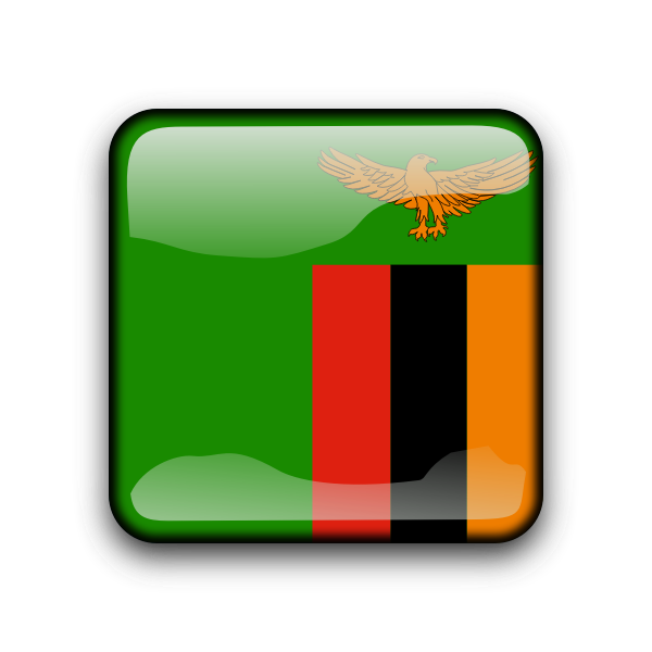 SVG zm