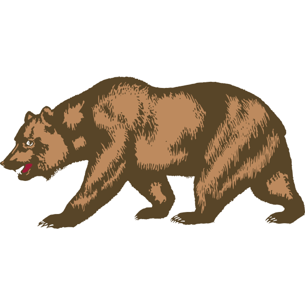 SVG Zoo bear vector image
