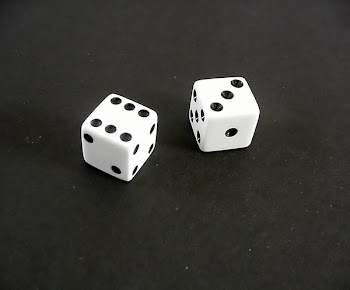 sw_2d6_1.jpg