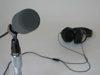 sw_mic_headphones_4.jpg