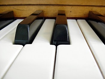 sw_piano_4.jpg