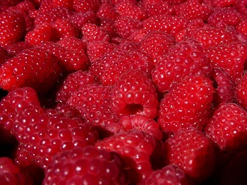 sw_raspberries_01.jpg