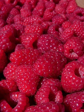 sw_raspberries_02.jpg