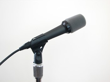 sw_SM57_3.jpg