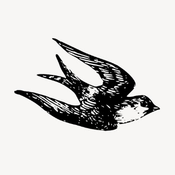 Swallow bird, animal illustration vector. | Free Vector Illustration - rawpixel