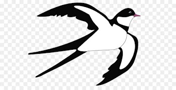 Swallow Bird Blog Clip art - Swallow PNG Clipart 