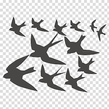 Swallow transparent background PNG clipart