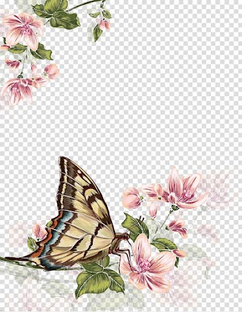 Swallowtail butterfly perching on pink flower illustration, Butterfly Flower Painting, Watercolor Flower Butterfly transparent background PNG clipart