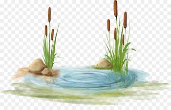 Swamp Clip art - Watermark blue stone 