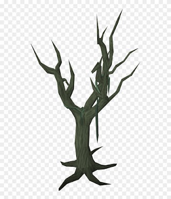 Swamp Tree - Swamp Tree Transparent