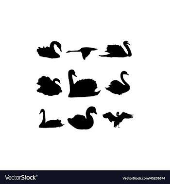 swan animal set silhouette creative design