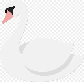 swan bird ducks, geese and swans water bird waterfowl