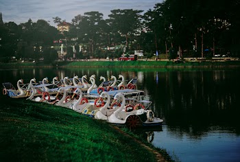 Swan Boat Docked on River