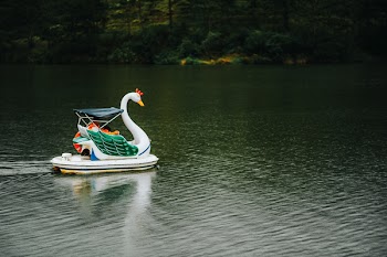 Swan Boat in Body of Water