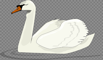 Swan Download Transparent PNG Image