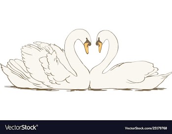 swan eps