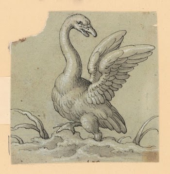 Swan | Free Photo - rawpixel
