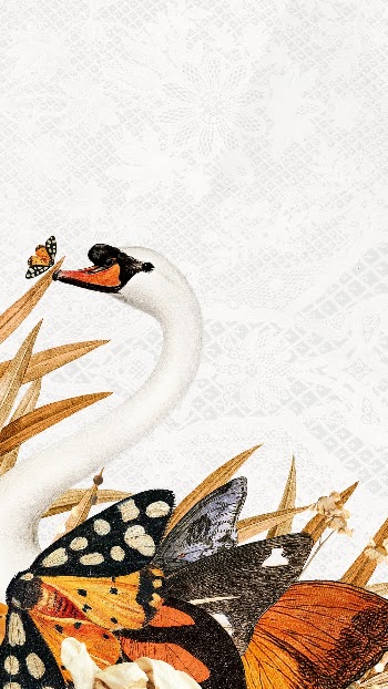 Swan iPhone wallpaper, vintage surreal | Free Photo - rawpixel
