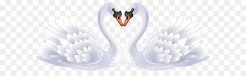 Swan Love Clip art - Valentine Swans PNG Clipart 