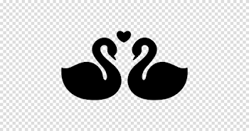 Swan PNG Image Background