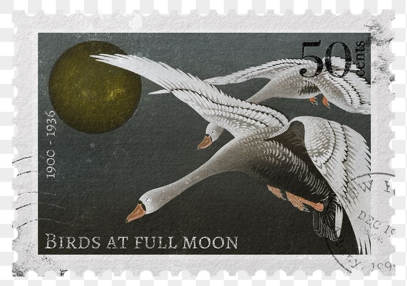 Swan png post stamp, ephemera | Free PNG - rawpixel
