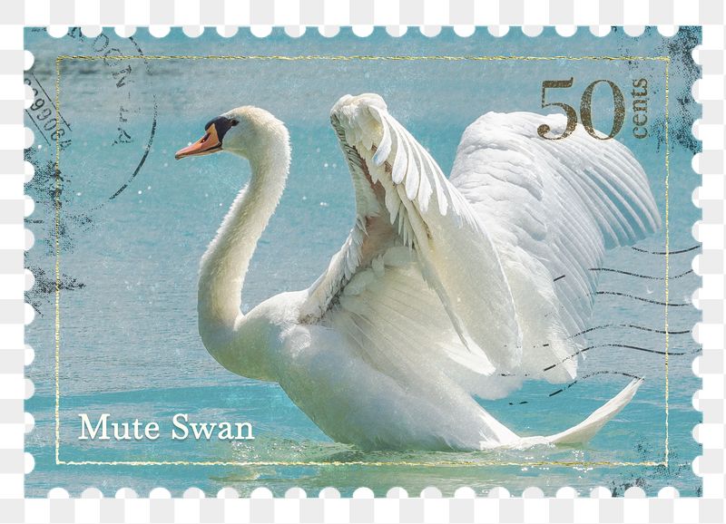 Swan png post stamp sticker, | Free PNG - rawpixel