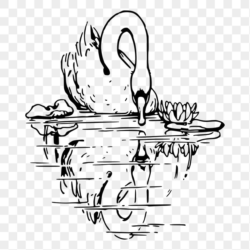 Swan png sticker illustration, transparent | Free PNG - rawpixel