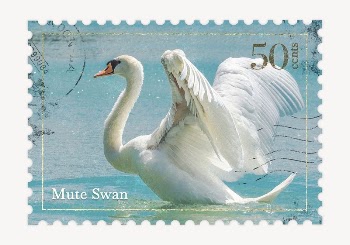 Swan postage stamp, animal collage | Free PSD - rawpixel