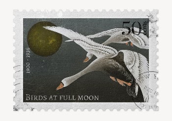 Swan postage stamp, ephemera collage | Free PSD - rawpixel