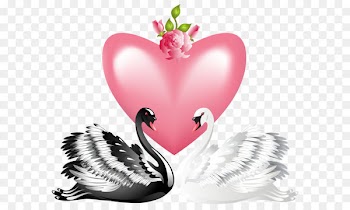 Swan Valentine's Day Heart Clip art - Valentine's Day Love Swans Transparent PNG Clip Art Image 