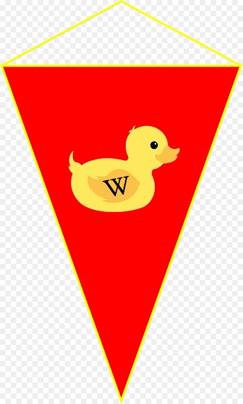 Swans, Beak, Goose, Bird, Ducks Geese And Swans PNG