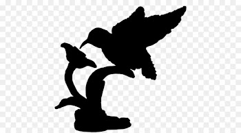 Swans Beak Goose Ducks -  