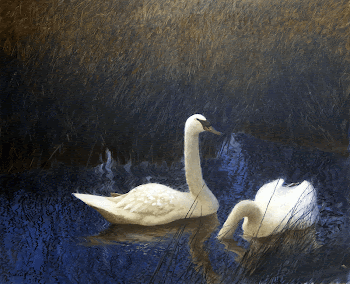 Swans in Reeds (1907) painting | Free Photo - rawpixel