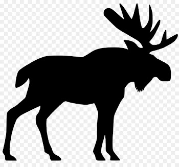 Sweatshirt Moose Salt & Pepper Shakers Squirrel T-shirt -  